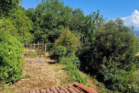 Villa i Camporosso, Imperia, Camporosso - € 198.000 | Ref: F159-1457 - foto 25