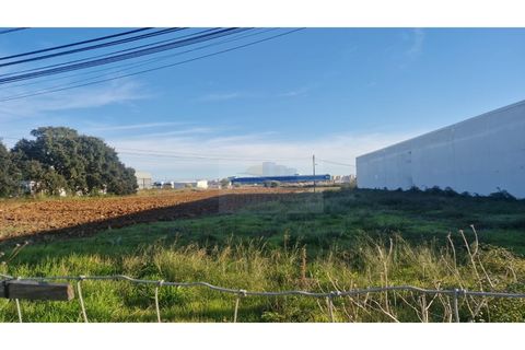Terra a Carregado, Lisbon, Carregado - € 3.135.000 | Ref: AP13.215 - foto 2