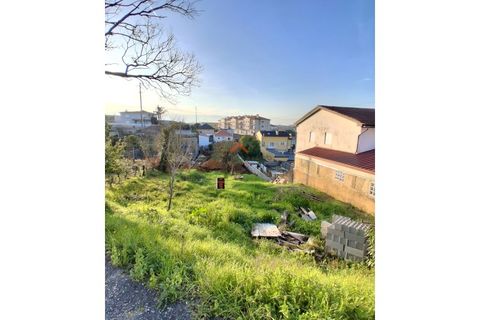 Helårsgrund i Agueda, Aveiro, Agueda - € 22.000 | Ref: 6727 - foto 5