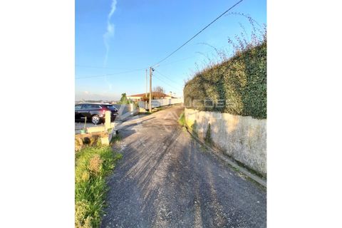 Helårsgrund i Agueda, Aveiro, Agueda - € 22.000 | Ref: 6727 - foto 6