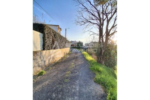 Helårsgrund i Agueda, Aveiro, Agueda - € 22.000 | Ref: 6727 - foto 7