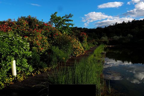 Villa a Tresques, Gard, Tresques - € 2.100.000 | Ref: HH-16023898 - foto 7