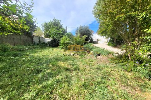 Terra a Mireval, Herault, Mireval - € 230.000 | Ref: 774-MILLIONCAB - foto 2