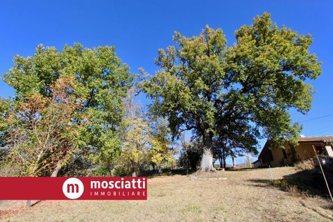 Villa a Matelica, Macerata, Matelica - € 380.000 | Ref: 3035 - foto 5