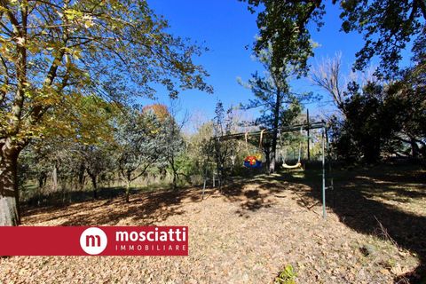 Villa a Matelica, Macerata, Matelica - € 380.000 | Ref: 3035 - foto 6