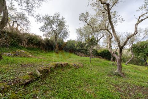 Villa a Sennori, Sassari, Sennori - € 140.000 | Ref: 13882 - foto 23