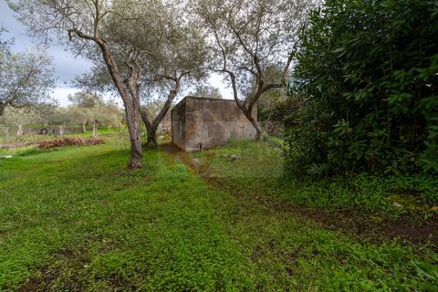 Villa a Sennori, Sassari, Sennori - € 140.000 | Ref: 13882 - foto 24
