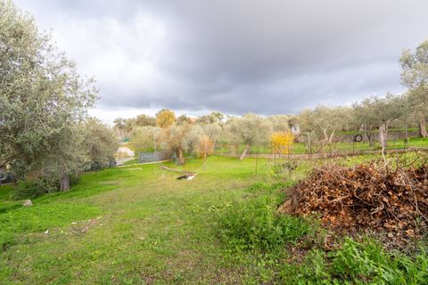 Villa a Sennori, Sassari, Sennori - € 140.000 | Ref: 13882 - foto 25