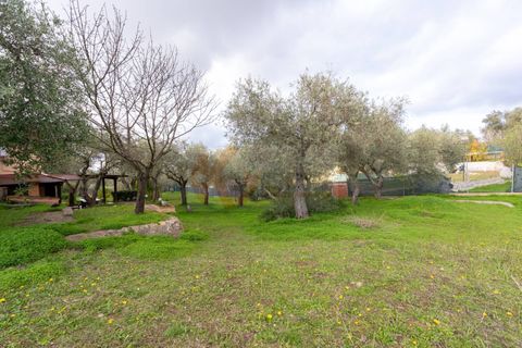 Villa a Sennori, Sassari, Sennori - € 140.000 | Ref: 13882 - foto 26
