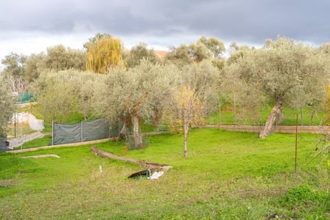 Villa a Sennori, Sassari, Sennori - € 140.000 | Ref: 13882 - foto 27