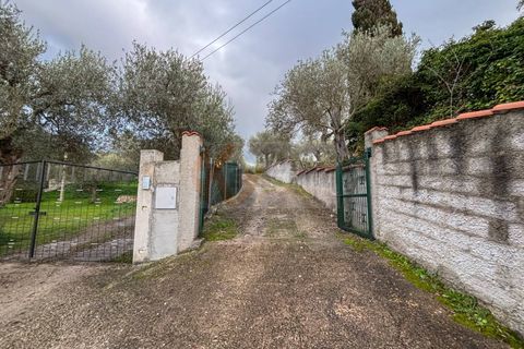 Villa a Sennori, Sassari, Sennori - € 140.000 | Ref: 13882 - foto 29