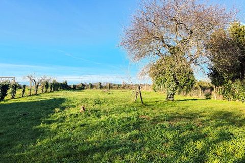 Herregård i Ruffec, Charente, Ruffec - € 103 550 | Ref: 5244 - foto 17