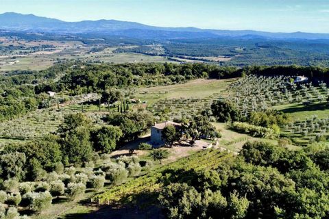 Farm hus i Roccastrada, Grosseto, Roccastrada - € 1.300.000 | Ref: GRO01-797547 - foto 3
