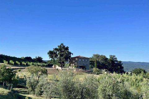 Farm hus i Roccastrada, Grosseto, Roccastrada - € 1.300.000 | Ref: GRO01-797547 - foto 18