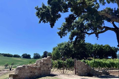 Farm hus i Roccastrada, Grosseto, Roccastrada - € 1.300.000 | Ref: GRO01-797547 - foto 22