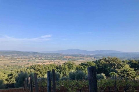 Farm hus i Roccastrada, Grosseto, Roccastrada - € 1.300.000 | Ref: GRO01-797547 - foto 25