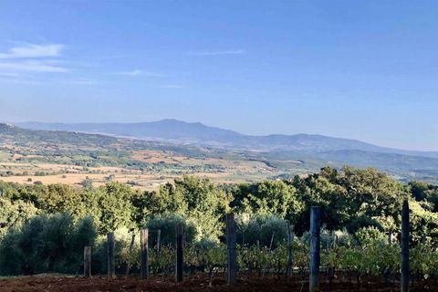 Farm hus i Roccastrada, Grosseto, Roccastrada - € 1.300.000 | Ref: GRO01-797547 - foto 31