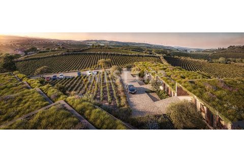 Rækkehus i Ericeira, Lisbon, Ericeira - € 680.000 | Ref: 6012WE - foto 11