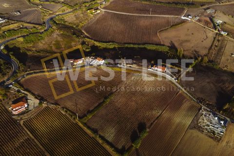 Rækkehus i Ericeira, Lisbon, Ericeira - € 680.000 | Ref: 6012WE - foto 21