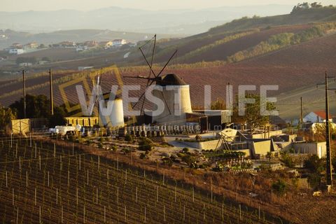 Rækkehus i Ericeira, Lisbon, Ericeira - € 680.000 | Ref: 6012WE - foto 23