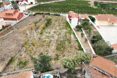 Villa i Torres Vedras, Lisbon, Torres Vedras - € 595.000 | Ref: 6004WE - foto 7