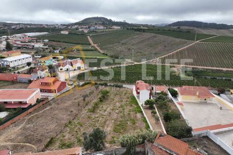 Villa i Torres Vedras, Lisbon, Torres Vedras - € 595.000 | Ref: 6004WE - foto 10