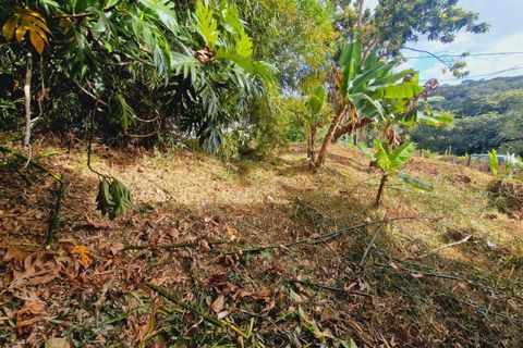 Landejendom i Le Lamentin, Martinique, Le Lamentin - € 217.000 | Ref: 3011439880 - foto 14