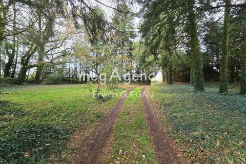 Villa a Seglien, Morbihan, Seglien - € 200.000 | Ref: 196446 - foto 20