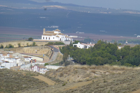 Helårsgrund i Antequera, Malaga, Antequera - € 425.000 | Ref: 419a79eb-abbf-4215-9 - foto 5