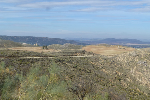 Helårsgrund i Antequera, Malaga, Antequera - € 425.000 | Ref: 419a79eb-abbf-4215-9 - foto 6