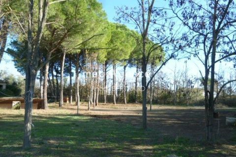 Villa i Colombiers, Herault, Colombiers - € 516.000 | Ref: 196608 - foto 2