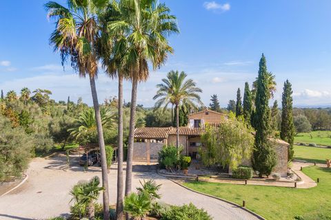 Landejendom i Selva, Mallorca, Selva - € 2.250.000 | Ref: SEL53038ETV - foto 27