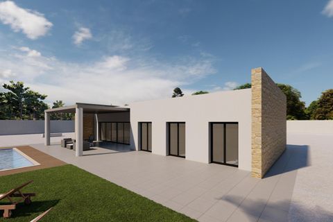 Villa i Pinoso, Alicante - foto 1