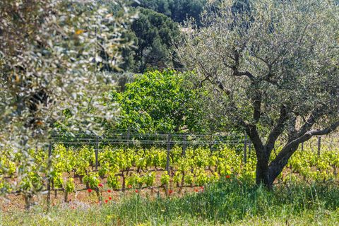Villa a Le Castellet, Var, Le Castellet - € 1.092.000 | Ref: HH-15604248 - foto 21