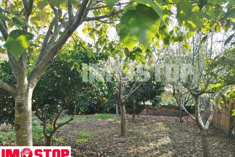 Lejlighed i Agueda, Aveiro, Agueda - € 170.000 | Ref: 33269 - foto 22