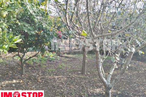 Lejlighed i Agueda, Aveiro, Agueda - € 170.000 | Ref: 33269 - foto 23