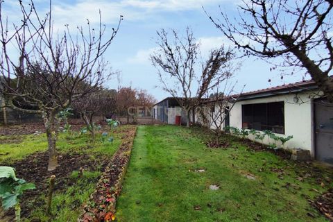 Villa i Chaves, Vila Real, Chaves - € 595.000 | Ref: C0533-00071 - foto 29