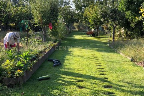 Villa i Chaves, Vila Real, Chaves - € 595.000 | Ref: C0533-00071 - foto 30