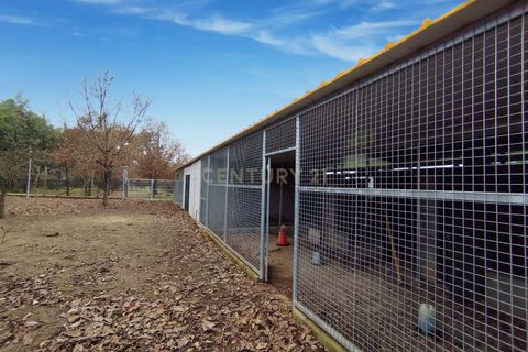 Villa i Chaves, Vila Real, Chaves - € 595.000 | Ref: C0533-00071 - foto 31