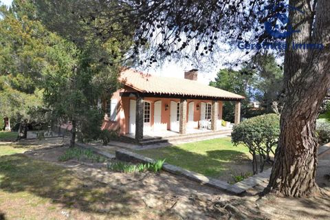 Villa a Ceret, Pyrenees-Orientales, Ceret - € 770.000 | Ref: 1144 - foto 10