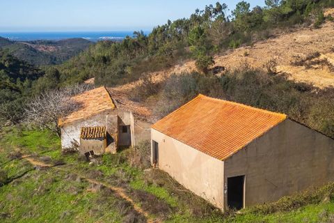 Farm i Monchique, Faro, Monchique - € 1.392.000 | Ref: Qt-967 - foto 1