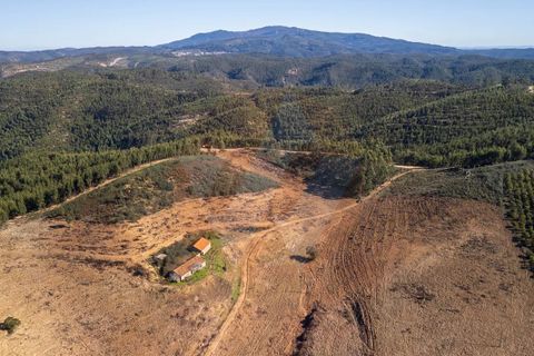 Farm i Monchique, Faro, Monchique - € 1.392.000 | Ref: Qt-967 - foto 2