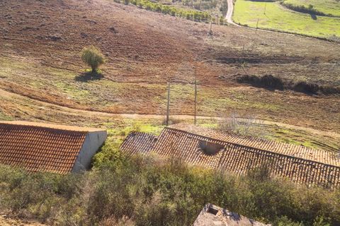 Farm i Monchique, Faro, Monchique - € 1.392.000 | Ref: Qt-967 - foto 3
