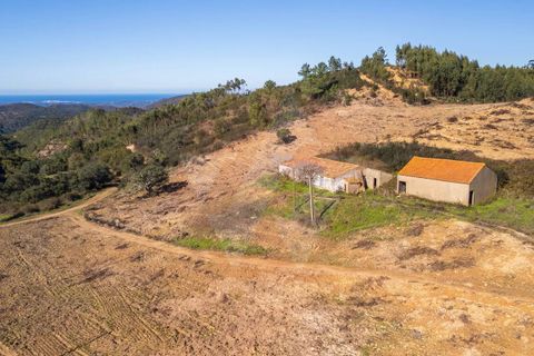 Farm i Monchique, Faro, Monchique - € 1.392.000 | Ref: Qt-967 - foto 4