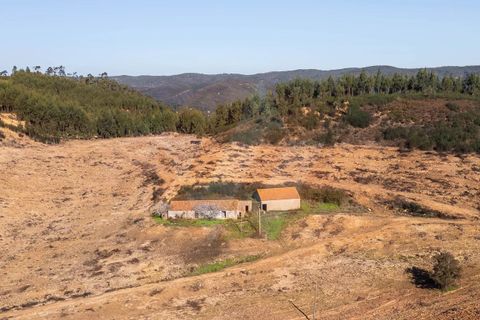 Farm i Monchique, Faro, Monchique - € 1.392.000 | Ref: Qt-967 - foto 5