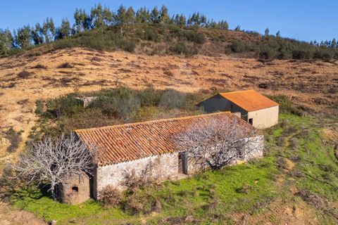 Farm i Monchique, Faro, Monchique - € 1.392.000 | Ref: Qt-967 - foto 6