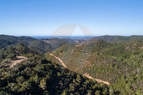 Farm i Monchique, Faro, Monchique - € 1.392.000 | Ref: Qt-967 - foto 8