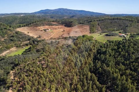 Farm i Monchique, Faro, Monchique - € 1.392.000 | Ref: Qt-967 - foto 9