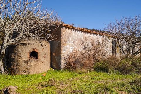Farm i Monchique, Faro, Monchique - € 1.392.000 | Ref: Qt-967 - foto 11