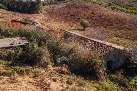 Farm i Monchique, Faro, Monchique - € 1.392.000 | Ref: Qt-967 - foto 12